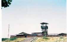 Completed stockade and watchtower settlement